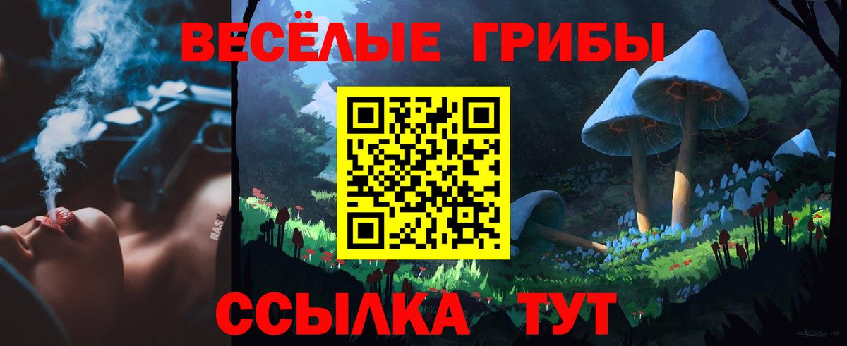 Псилоцибиновые грибы Cubensis  Вход с VPN  Астрахань 