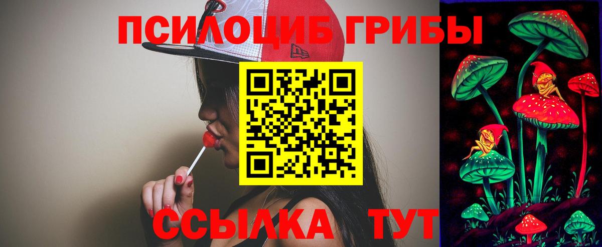 Псилоцибиновые грибы Psilocybine cubensis Астрахань